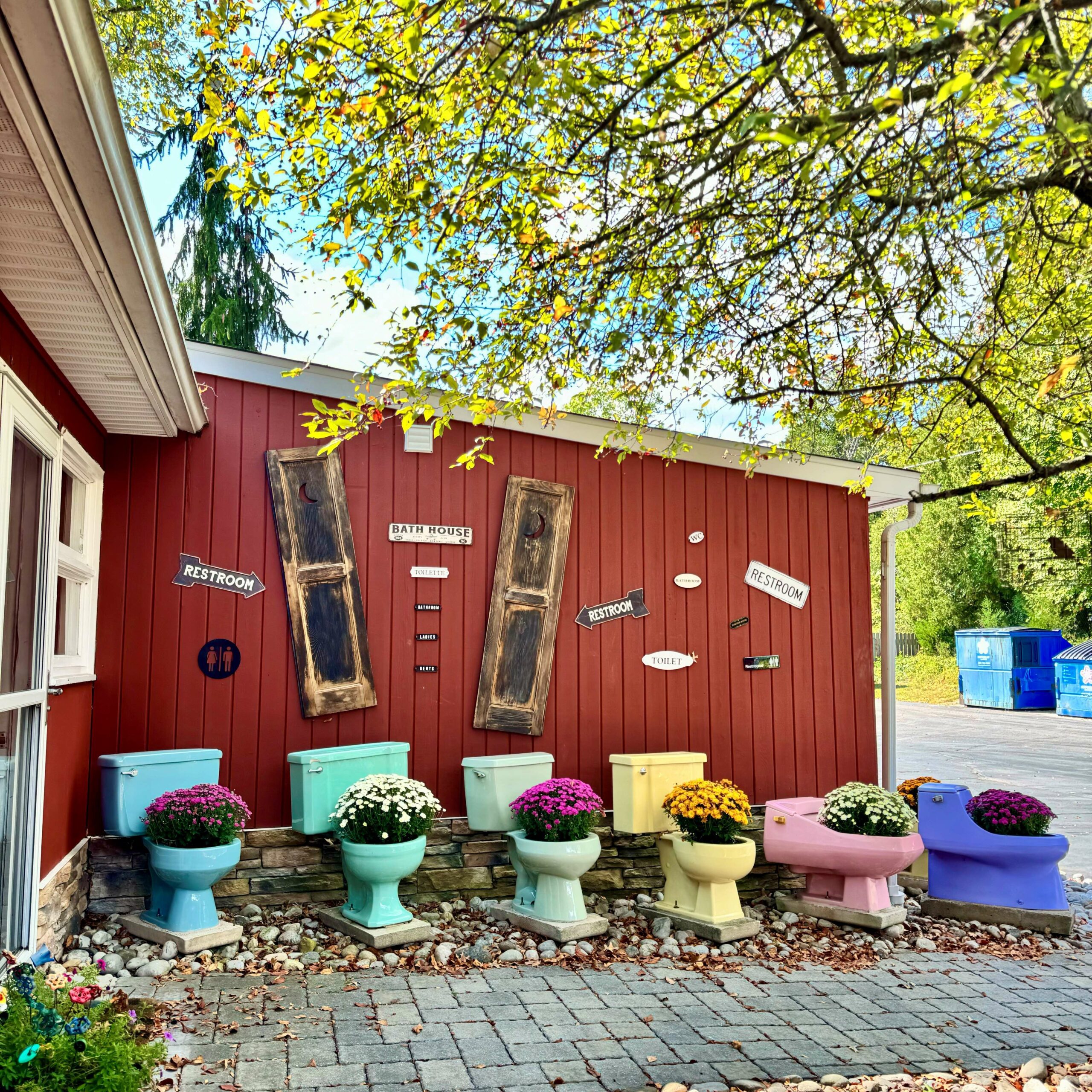 5 vintage toilets in different colors with mums in the bowls