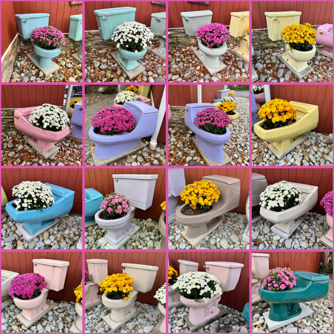 A grid of 16 pictures, each with a vintage color toilet with blooming mums